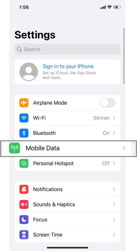After connecting to Wi-Fi, now tap on Mobile Data in Settings